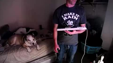 dbfroge online show from 13, 3, 2026