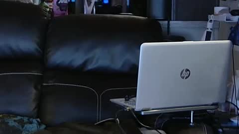 Snapshot of ddboobman chatting on 6, 2, 2025 want girl to play with me online show from 6, 2, 2025