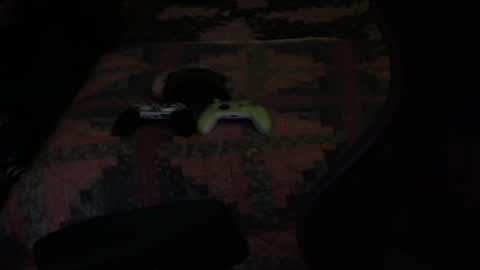 DC online show from 27, 9, 2025