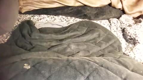 ddick0303 online show from 6, 3, 2026