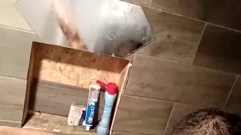 ddkjosh online show from 22, 12, 2025