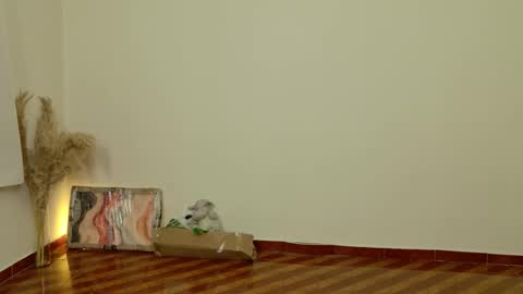 Dean online show from 6, 2, 2026