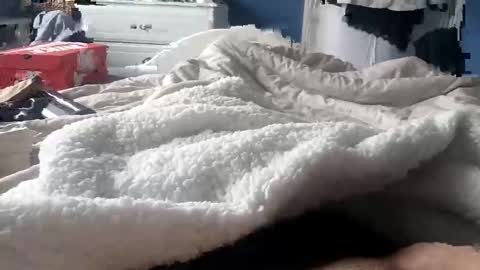 deano2105 online show from 15, 3, 2026