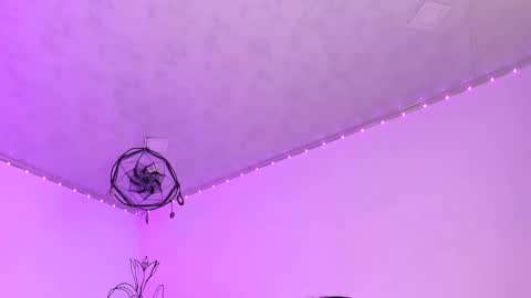 venus  adam online show from 12, 1, 2025