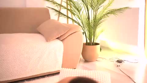 Tamara online show from 9, 7, 2026