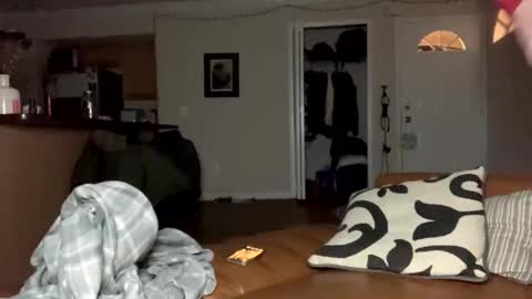  more content and goodies online show from 29, 12, 2024