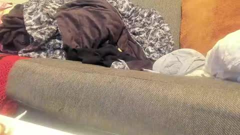 Deez Nutz online show from 9, 9, 2025