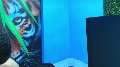 DEIBY online show from 31, 1, 2026