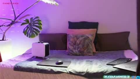 Kitty online show from 29, 6, 2026