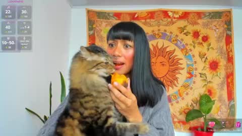 demeter__ online show from 4, 5, 2026