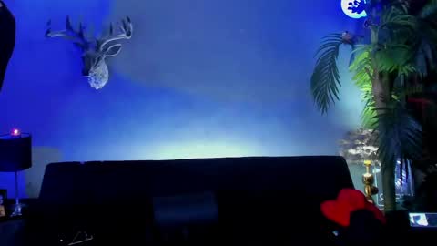 dennis_cox_ online show from 21, 5, 2026