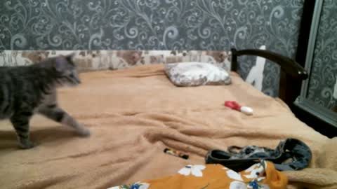 DennisXCarol online show from 18, 2, 2025