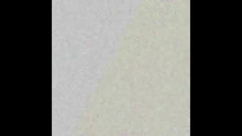 Denver bttm boi on telegram online show from 16, 2, 2026