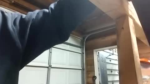 desturbingdetale699 online show from 22, 12, 2024