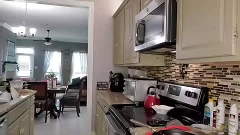 Dextercollins online show from 18, 3, 2026