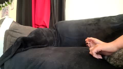 Snapshot of dickies6969 chatting on 20, 9, 2025 dickies6969 online show from 20, 9, 2025