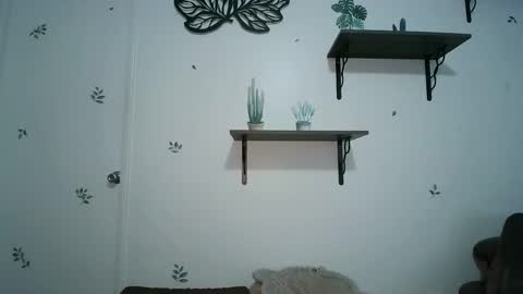 Snapshot of dickslayerdan chatting on 25, 1, 2025 dickslayerdan online show from 25, 1, 2025