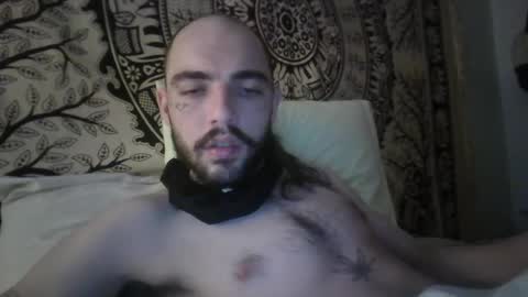 didismurf02 online show from 16, 12, 2024