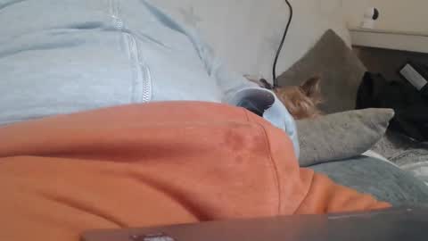 DiegoVLC online show from 20, 3, 2026