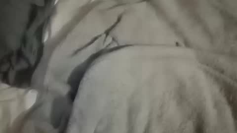 Daddy online show from 10, 10, 2025