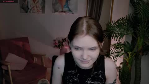 Dilara online show from 28, 4, 2026
