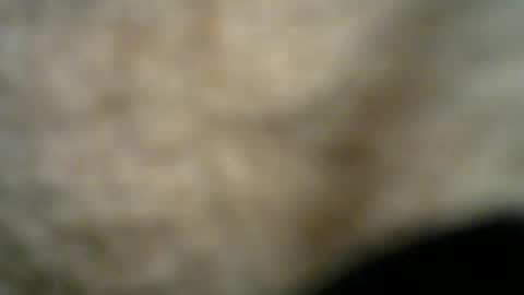 Snapshot of dilaradagci chatting on 26, 7, 2026 Bob online show from 26, 7, 2026
