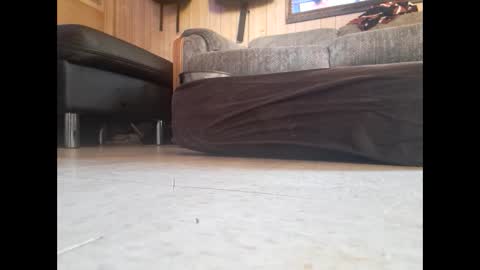 dildosnme22 online show from 19, 2, 2025