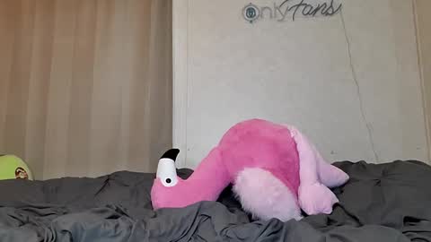 Sofie online show from 24, 2, 2025