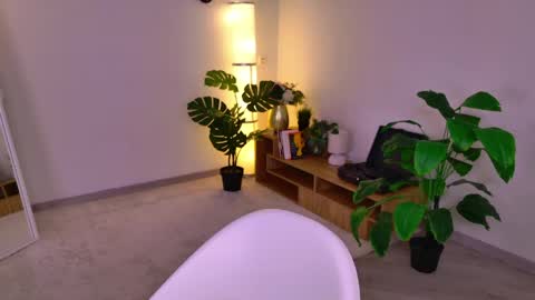 Dina online show from 2, 5, 2026