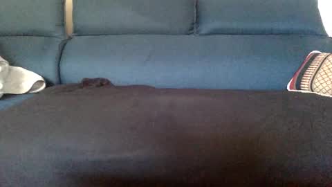 Snapshot of dinnerout1111 chatting on 17, 2, 2025 dinnerout1111 online show from 17, 2, 2025