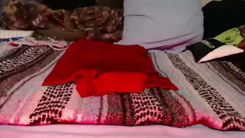 dino9999999 online show from 2, 3, 2026