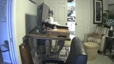 Snapshot of dirkpitt223 chatting on 21, 1, 2025 DirtkPitt Fun guy working online show from 21, 1, 2025