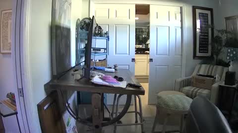 Snapshot of dirkpitt223 chatting on 1, 2, 2025 DirtkPitt Fun guy working online show from 1, 2, 2025