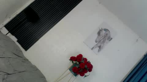 Kataluna online show from 9, 3, 2026