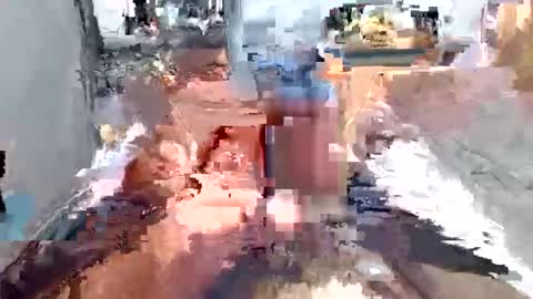 dmann1202 online show from 12, 1, 2026
