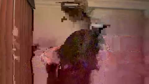 Snapshot of dohmerboyz chatting on 15, 3, 2026 GIJO online show from 15, 3, 2026