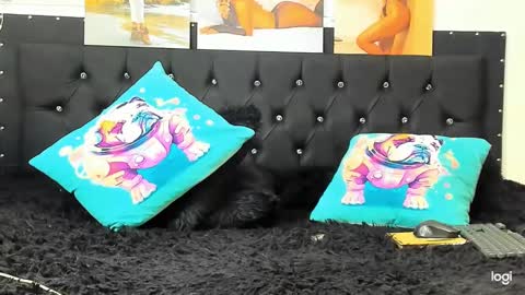 Snapshot of doll_celeste19 chatting on 22, 12, 2024 C E L E S T E online show from 22, 12, 2024