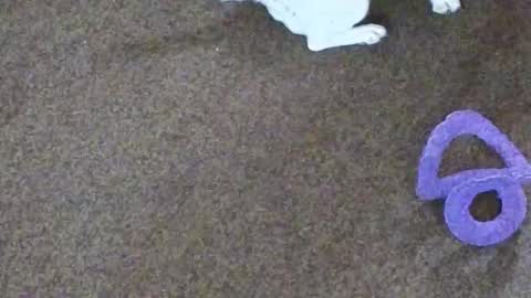 Niki Doll online show from 29, 10, 2025