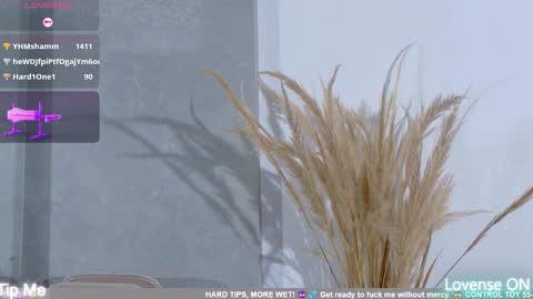 Snapshot of dolly_brownc chatting on 8, 2, 2026 dolly_brownc online show from 8, 2, 2026