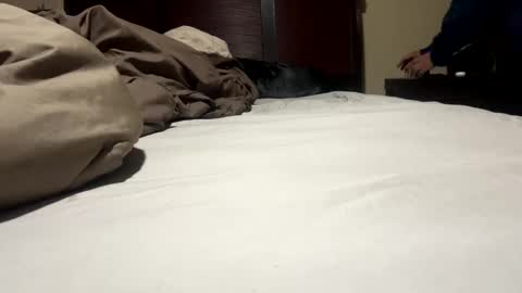 Ben Dover online show from 17, 1, 2025