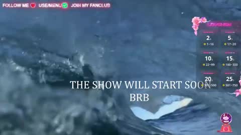 Snapshot of domina_deivis chatting on 6, 3, 2025 I WILL BE BACK ON WEDNESDAY DECEMBER 4 0100AM COLOMBIA TIME online show from 6, 3, 2025