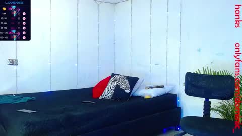 Snapshot of dominic_hanks chatting on 24, 1, 2025 DOMINIC AND ANDREW online show from 24, 1, 2025