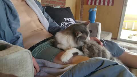 Snapshot of dommepleasemistress chatting on 22, 3, 2026 dommepleasemistress online show from 22, 3, 2026