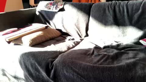 Snapshot of donizetti2017 chatting on 16, 12, 2024 Alfredo online show from 16, 12, 2024