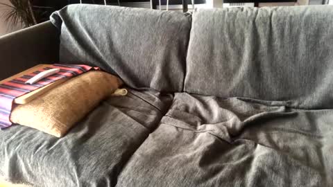 Snapshot of donizetti2017 chatting on 14, 1, 2025 Alfredo online show from 14, 1, 2025