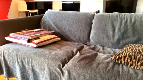 Snapshot of donizetti2017 chatting on 4, 2, 2025 Alfredo online show from 4, 2, 2025