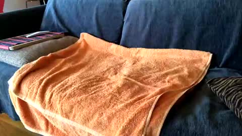 Snapshot of donizetti2017 chatting on 7, 2, 2025 Alfredo online show from 7, 2, 2025