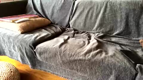 Snapshot of donizetti2017 chatting on 9, 2, 2025 Alfredo online show from 9, 2, 2025