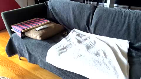 Snapshot of donizetti2017 chatting on 17, 2, 2025 Alfredo online show from 17, 2, 2025