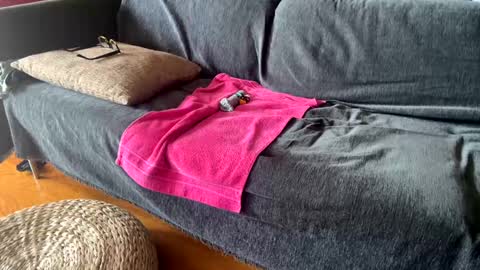 Snapshot of donizetti2017 chatting on 11, 9, 2025 Alfredo online show from 11, 9, 2025